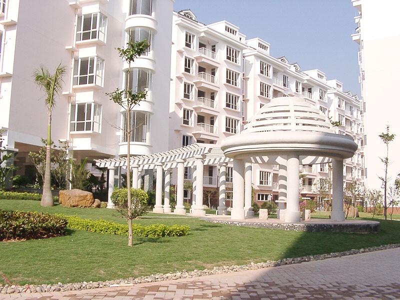 申请**法律服务